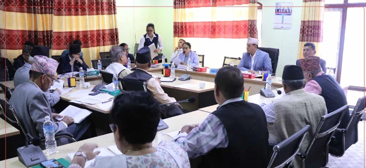 संवैधानिक परिषद सम्बन्धि विधेयक समितिबाट पारित