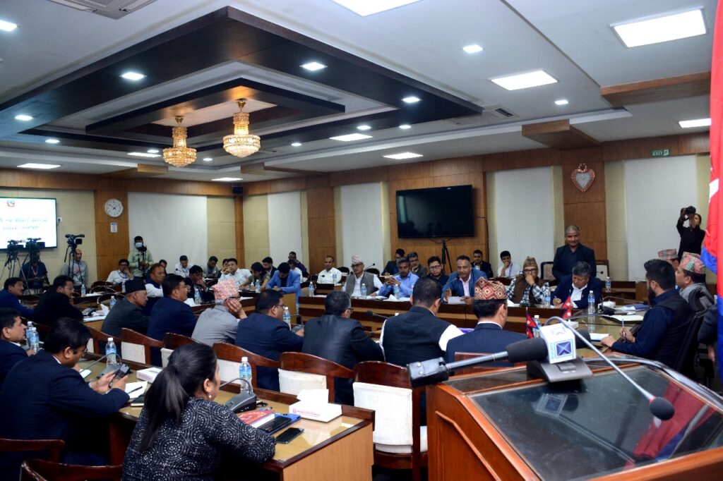 विपद व्यवस्थापनका लागि केन्द्रदेखि वडातहसम्म दलीय संयन्त्र बनाउनुपर्नेमा जोड